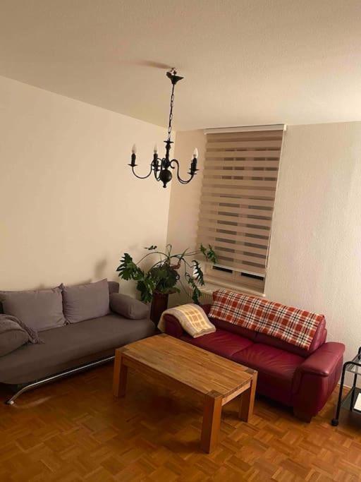 Schone Altbauwohnung Mit Grun In Ruhiger Lage ไลป์ซิก ภายนอก รูปภาพ